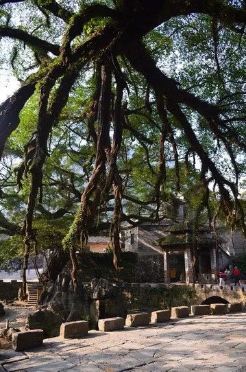 博皓游記 | 夏風微醺的綺夢，領(lǐng)略賀州黃姚古鎮(zhèn)、姑婆山閑憩之美-12