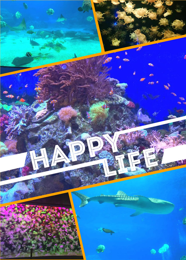 廣東博皓親子游：珠海長隆海洋王國，探索海洋生物的奧秘，奇妙的動物世界