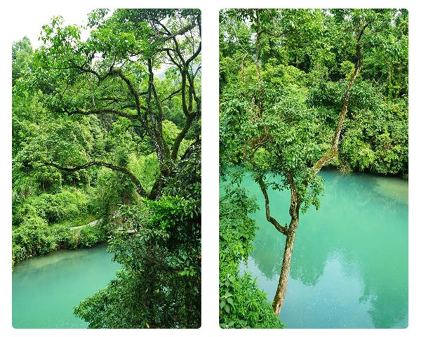 多彩貴州，魅力天下，2021年廣東博皓快樂貴州行-29