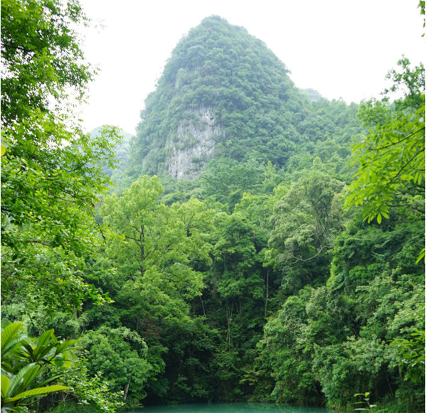 賞華夏大地，游多彩貴州-－2021年廣東博皓快樂行-2