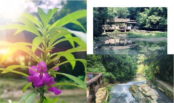 “湘”約鳳凰，相守未來——2022博皓快樂湖南行    -34