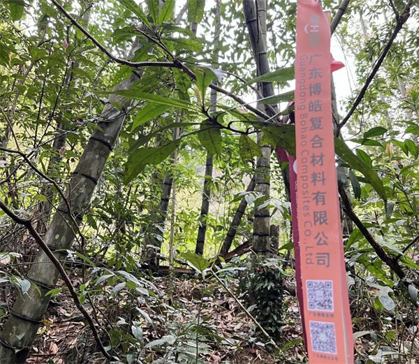 凝心聚力再出發(fā)，風雨同舟赴星溪！--廣東博皓2024龍年首登星溪之旅     -2