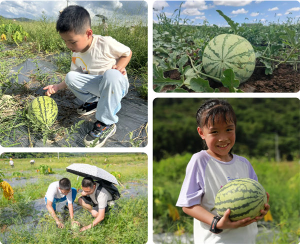 趣游盛夏，一路童行—2024年廣東博皓親子游   -12