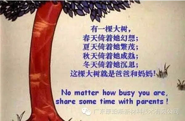樹就是我們的父母！請愛護(hù)你們身邊的這棵樹！