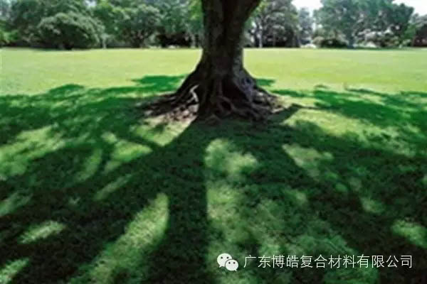 【博皓感悟】欲為大樹，莫與草爭-6