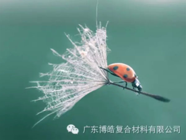 【博皓感悟】成功，要“借力”，不要“盡力”